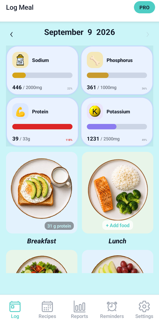 Kidney Buddy meal logging screen showing nutrient tracking and meal entries